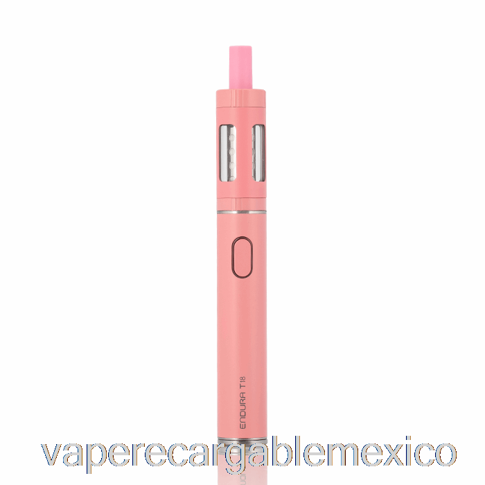 Vape Recargable Innokin Endura T18 14w Kit De Inicio Rosa
